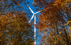 Windpark im Wald