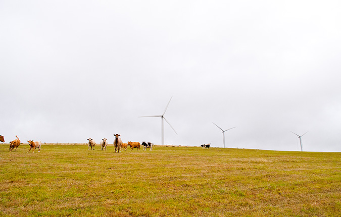 Gibbet Hill Wind Farm