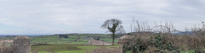 View from a local road at Curraheen towards the Site to the East