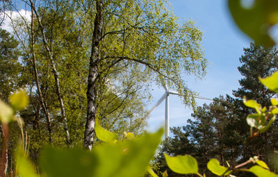 Windenergie im Wald